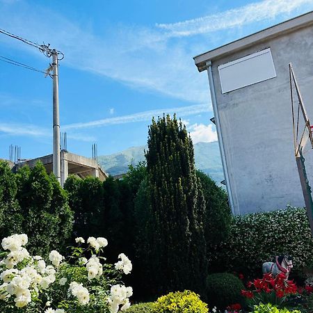 Green Oasis Apartment Kotor Luaran gambar