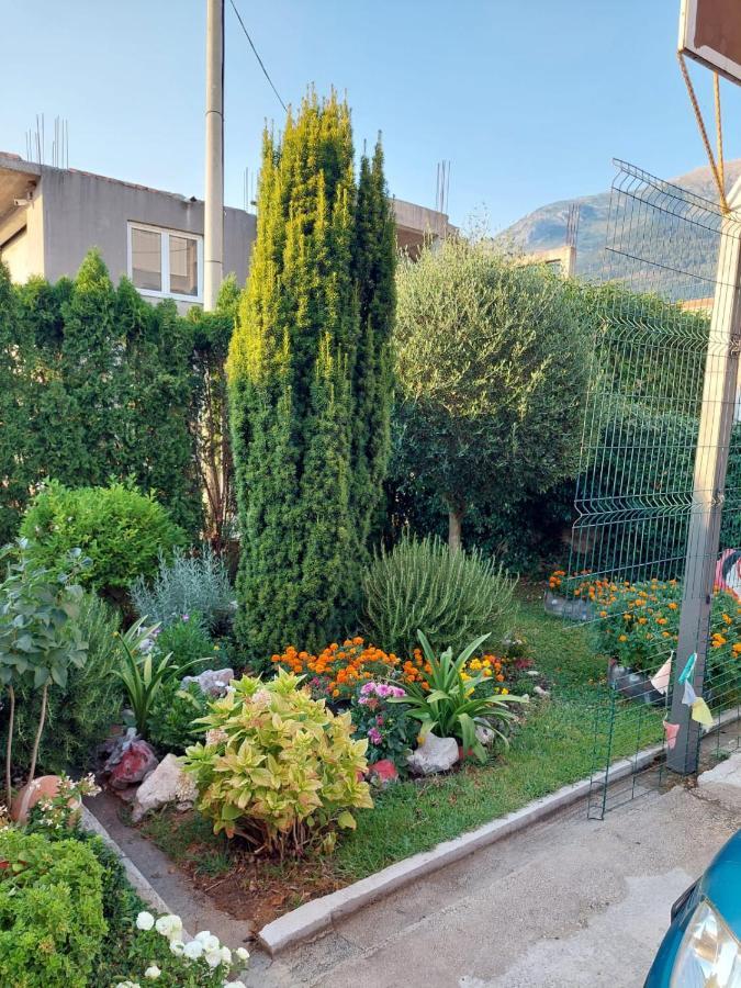 Green Oasis Apartment Kotor Luaran gambar